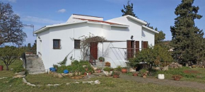 ALONI Cretan traditional house in Vamos Chania